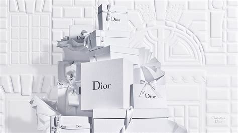 chritian dior|official christian dior website.